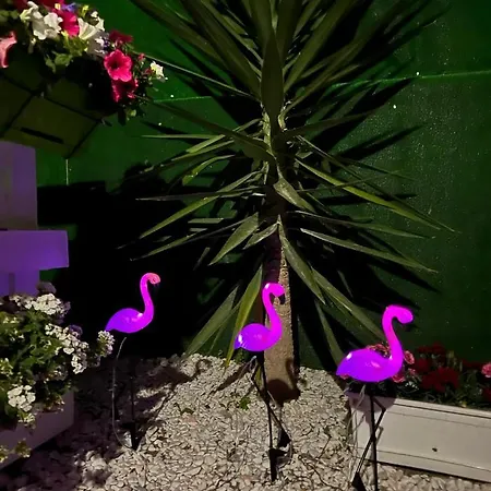 مكان تخييم Casa Flamingo فيغيورا دا فوز